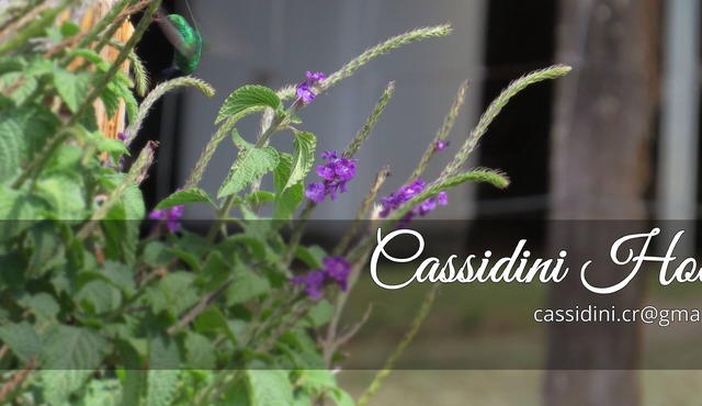 * Cassidini House *