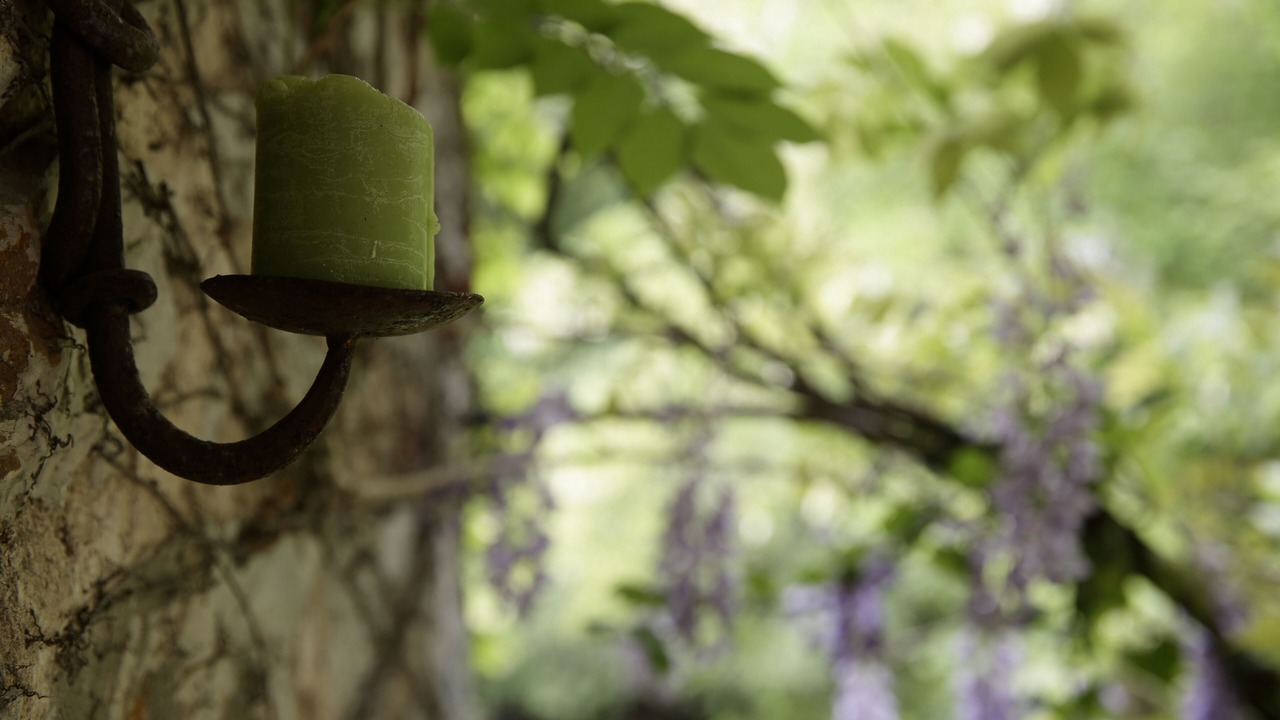 Photo of Outdoor in Gaiole in Chianti